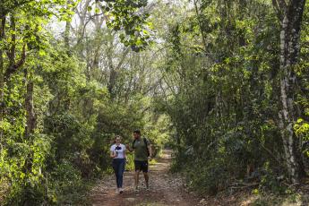Aventura na mata: cinco trilhas para explorar nas Unidades de...