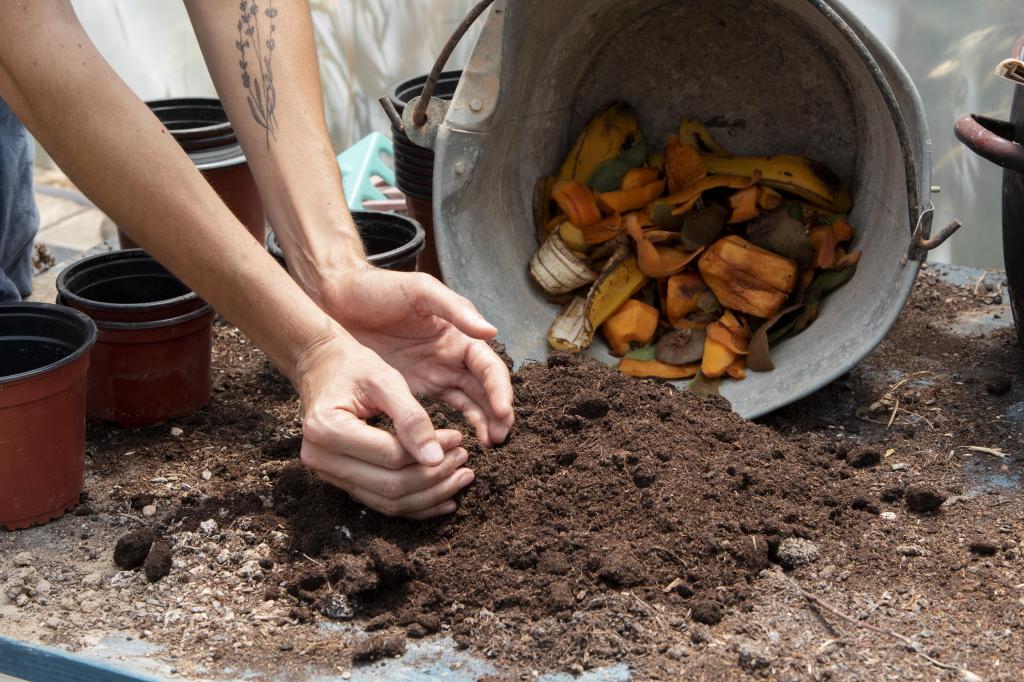 Compostagem doméstica: uma prática simples que transforma resíduos em vida