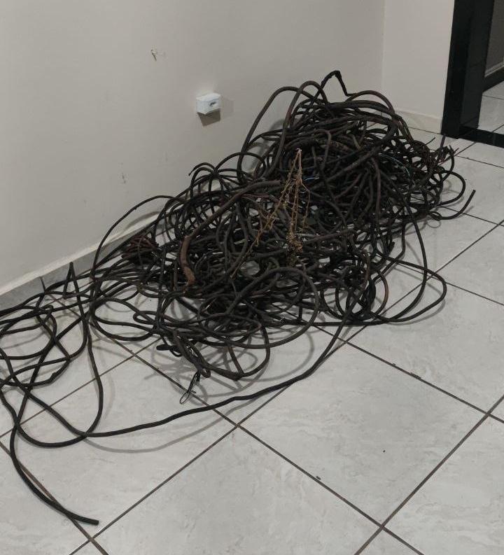 Dupla é presa por furto de fios de cobre em empresa na...