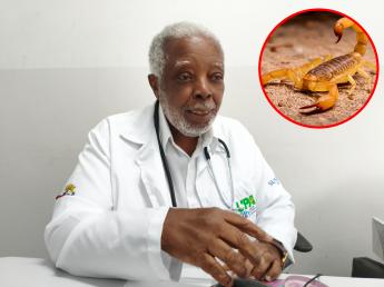 Escorpião-amarelo acende alerta de saúde pública e exige atenção redobrada...