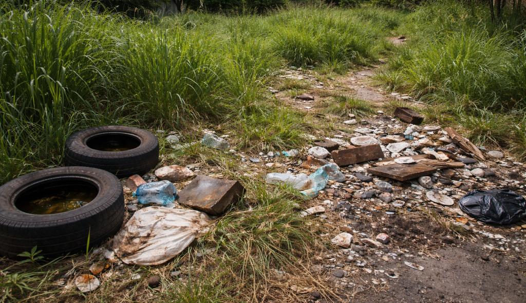 Prefeitura reforça cobrança por limpeza de terrenos e alerta para riscos à...