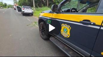 PRF apreende 20 mil maços de cigarros contrabandeados e recupera...