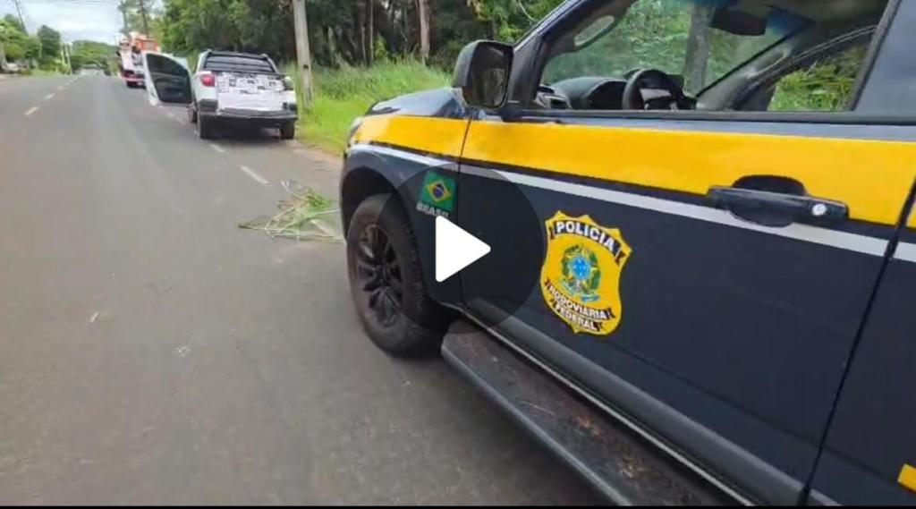 PRF apreende 20 mil maços de cigarros contrabandeados e recupera carro furtado