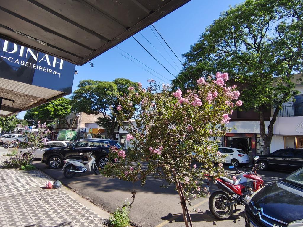 Nova Esperança realiza nesta quinta (05), na Casa da Cultura,...