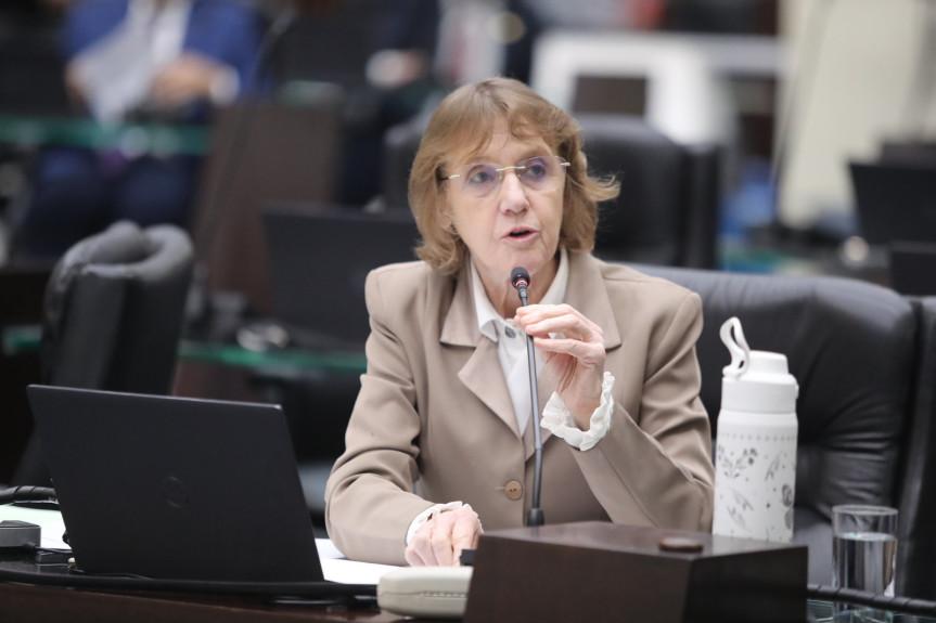 Deputada Luciana Rafagnin (PT) critica reajuste de 19% da Copel...