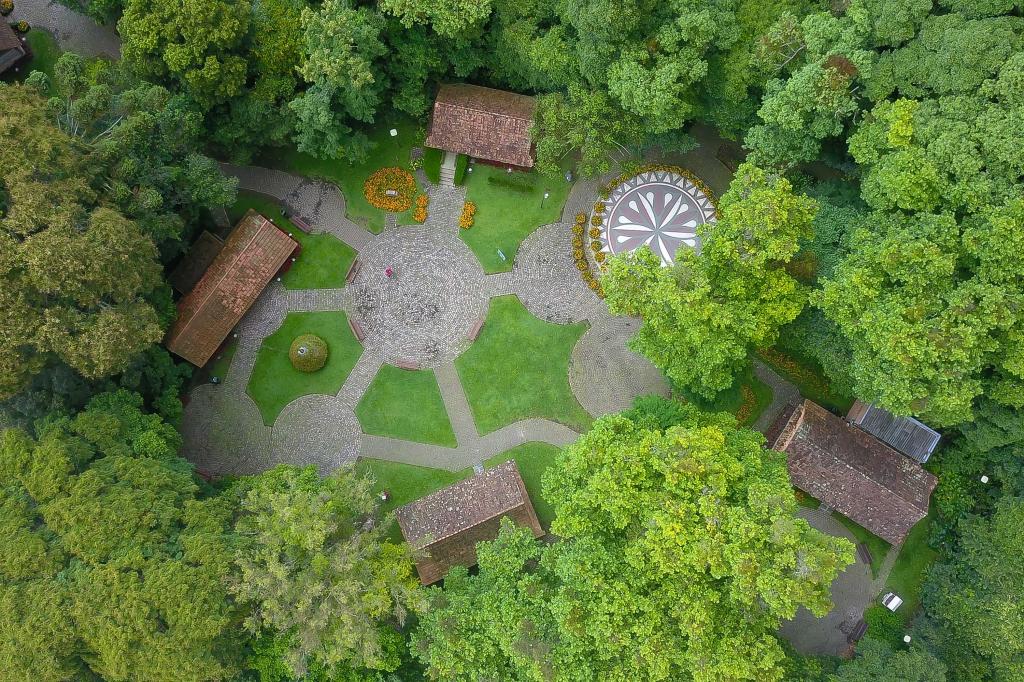 Natureza do Paraná: confira seis dicas de passeios para o...