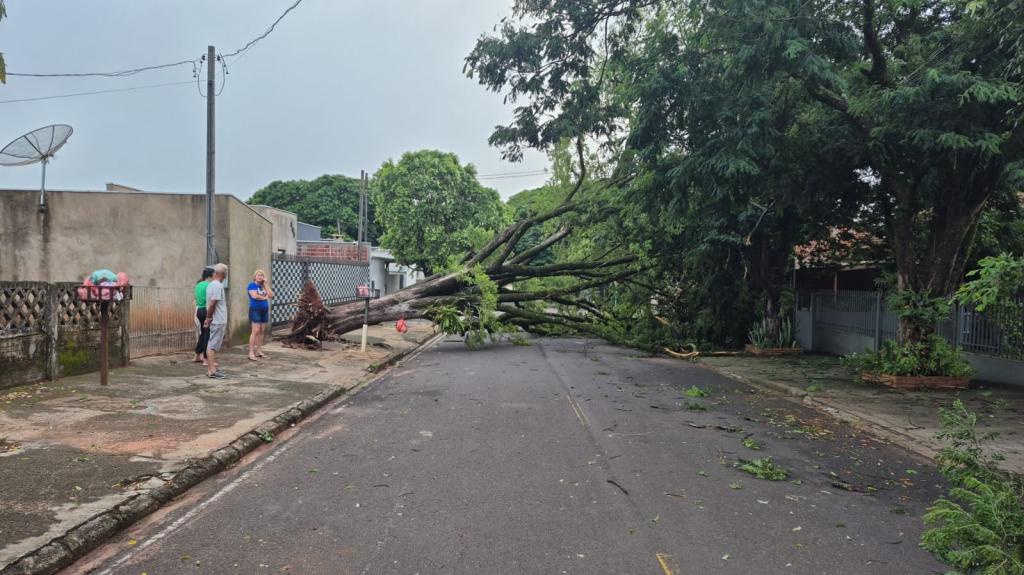 Tempestade com ventos fortes causa destruição e prejuízos em Nova...