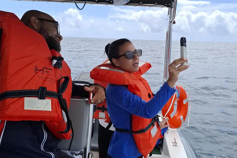 Levantamento da biodiversidade no sul da Bahia avança com uso...