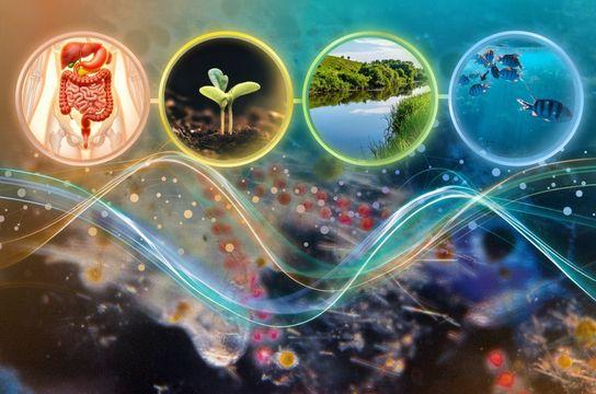 Estudo genômico de microbiomas comprova teoria ecológica clássica sobre competição...