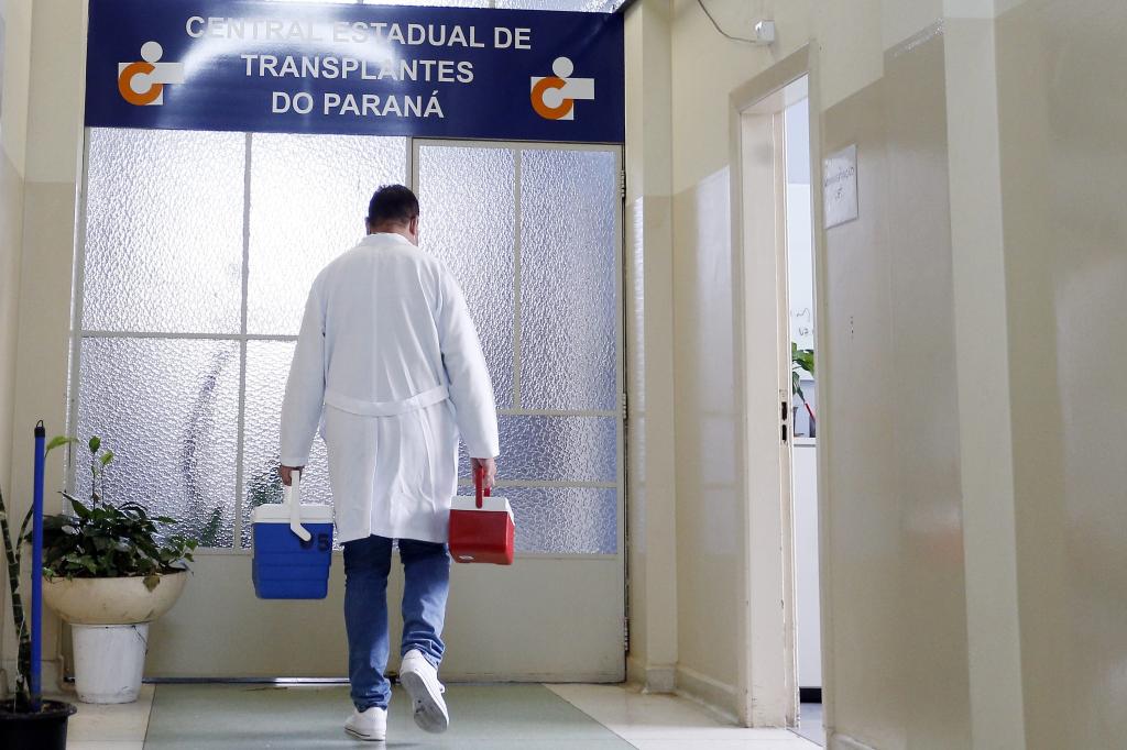 Paraná registra mais de 890 transplantes no primeiro semestre de 2026