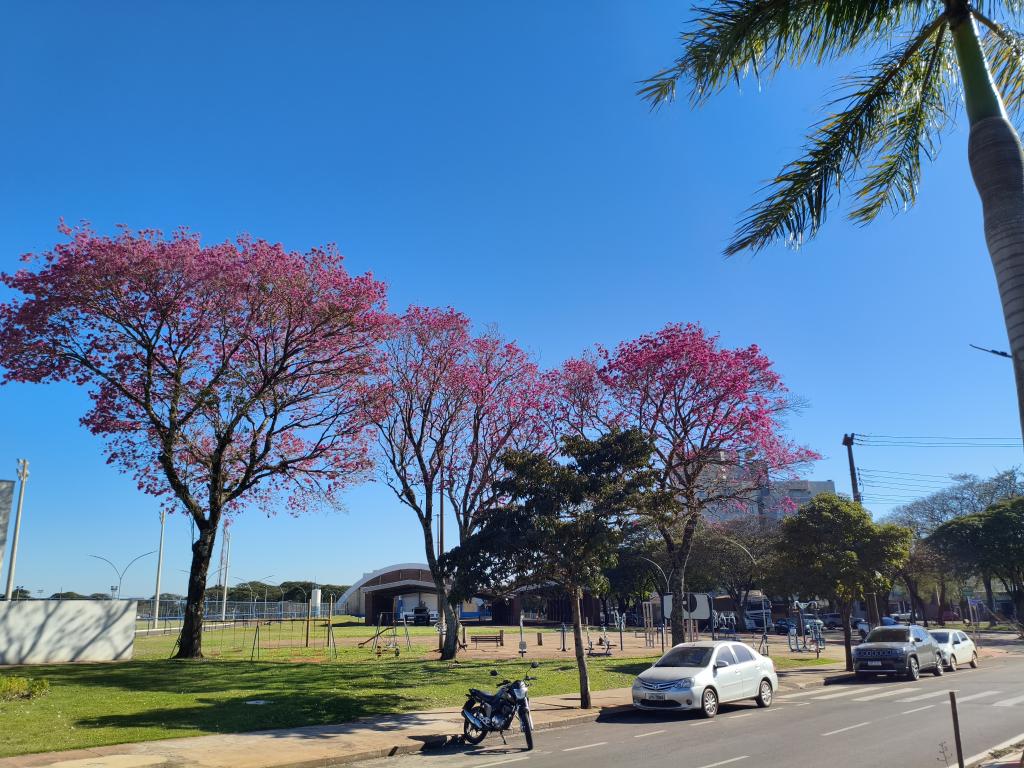 Sol predomina e temperaturas chegam a 27°C nesta sexta-feira na região
