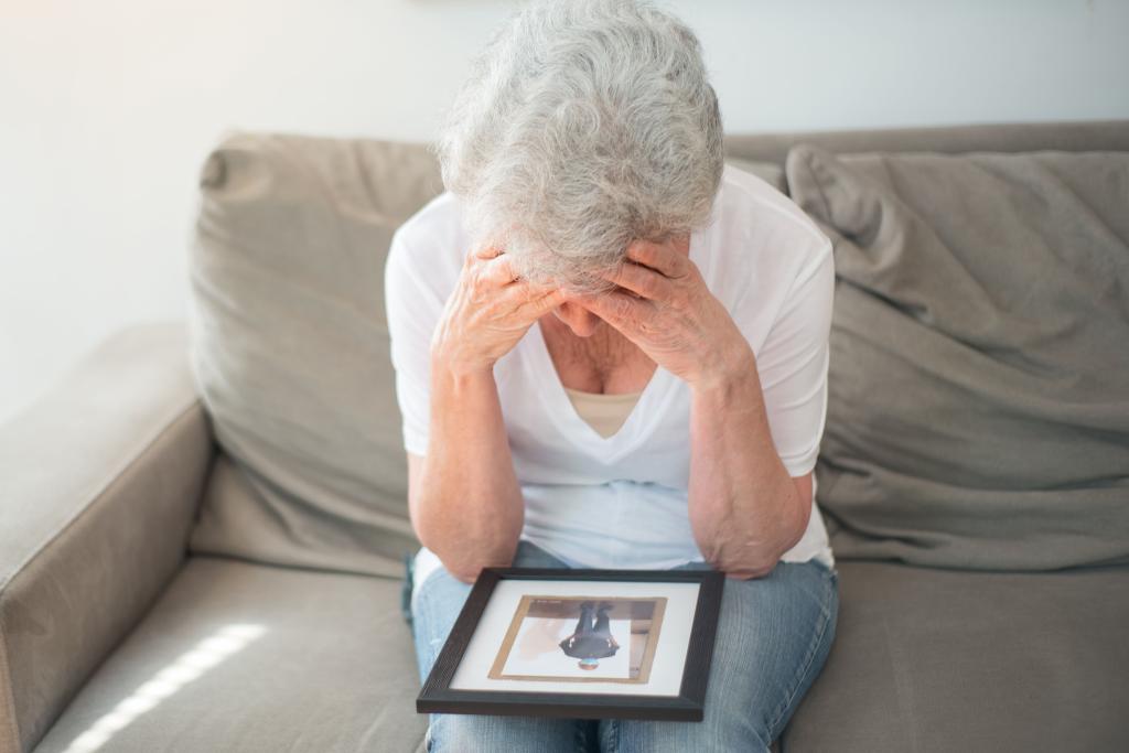 Dia Mundial do Alzheimer: esquecimento comum ou sinal de alerta? Veja como...