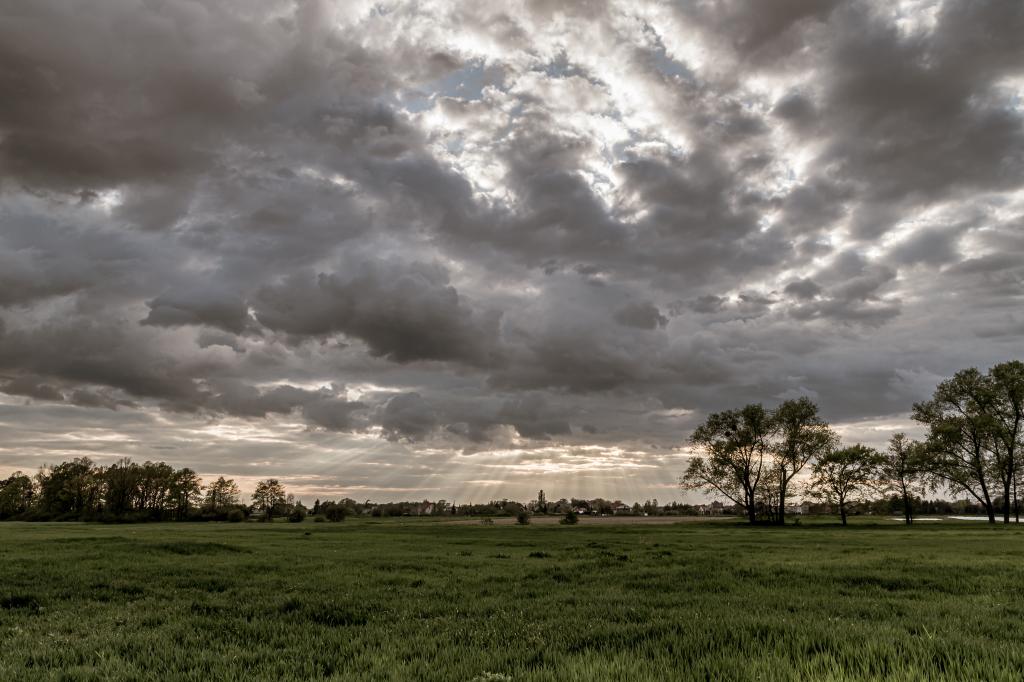 Primavera começa com mudança no tempo, mais chuva e temperaturas em elevação