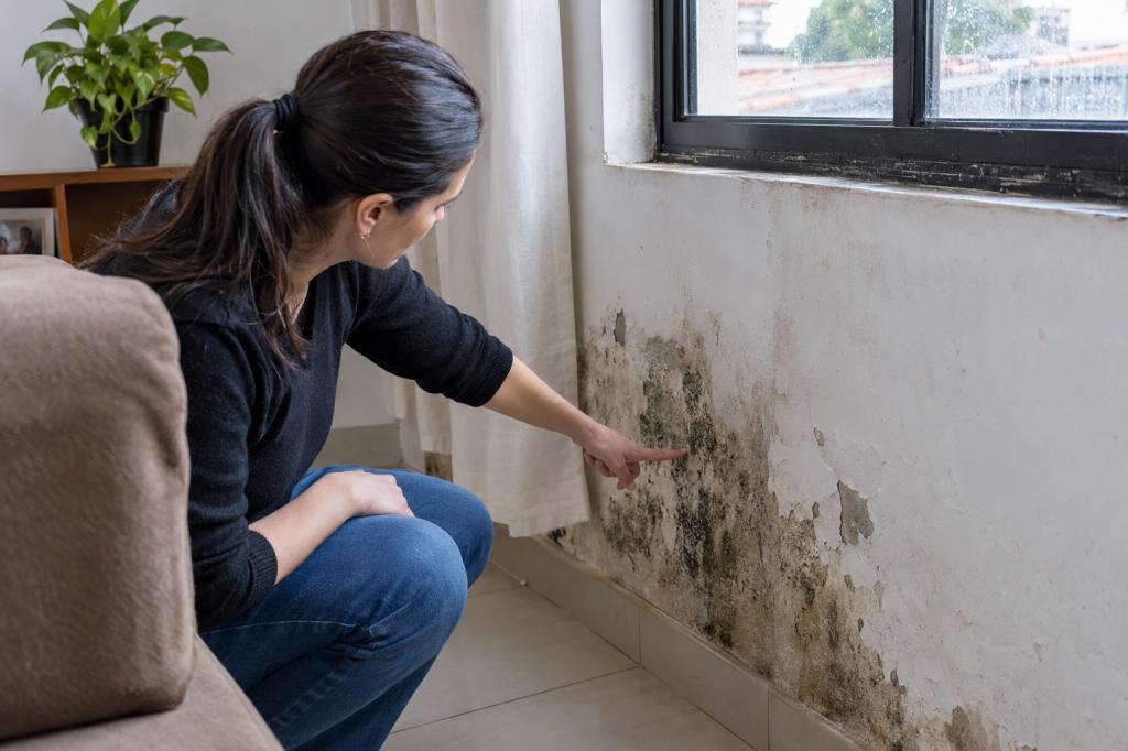 Após período de chuvas, umidade nas casas exige atenção e cuidados para...
