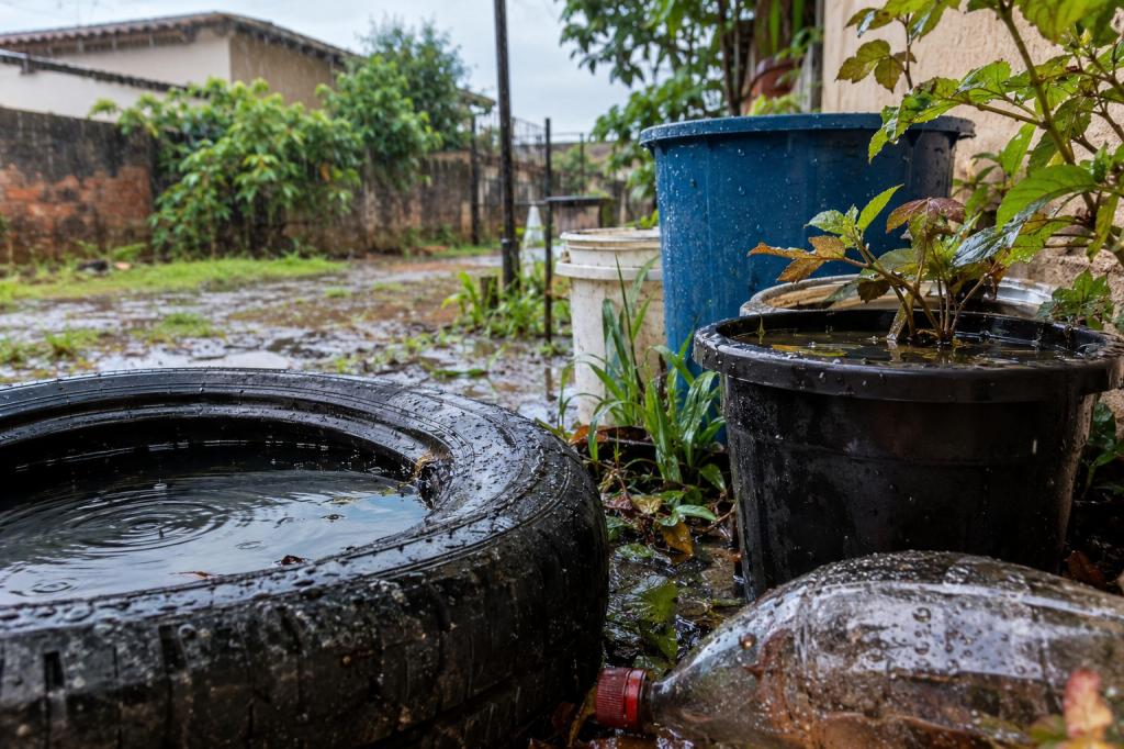 Dengue: período de chuvas exige atenção redobrada dos moradores