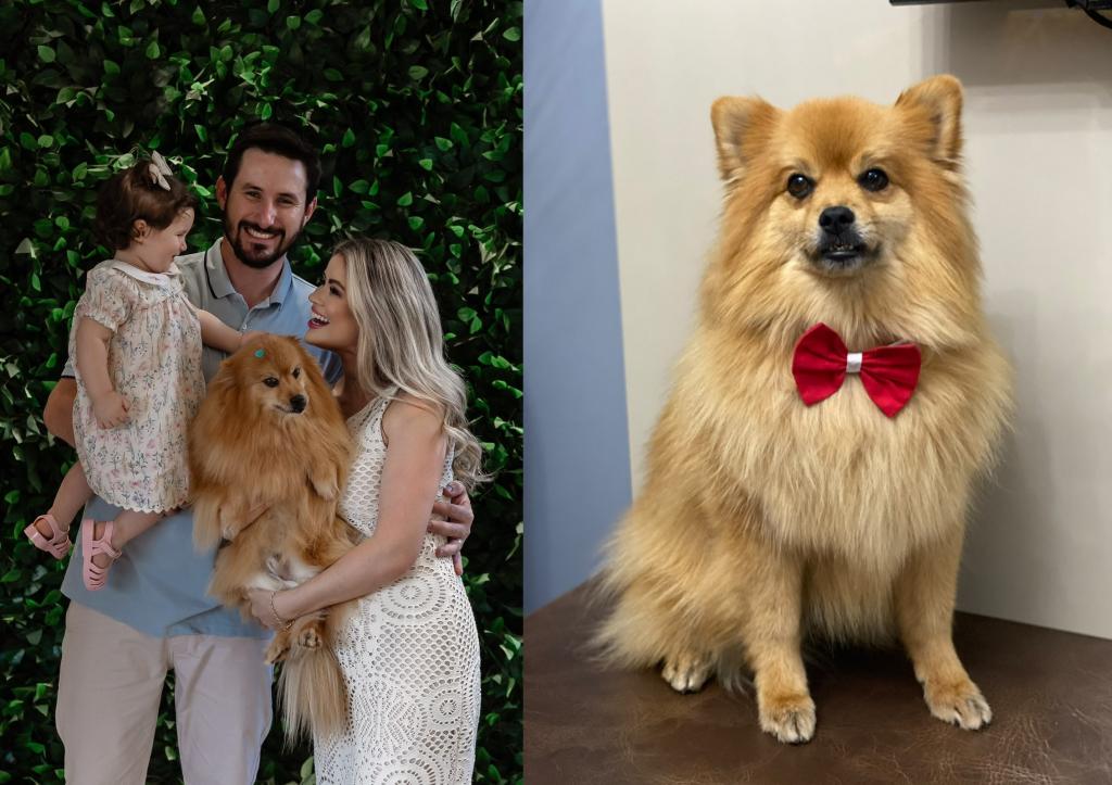 Família faz apelo por cachorro de 12 anos que desapareceu há quatro...