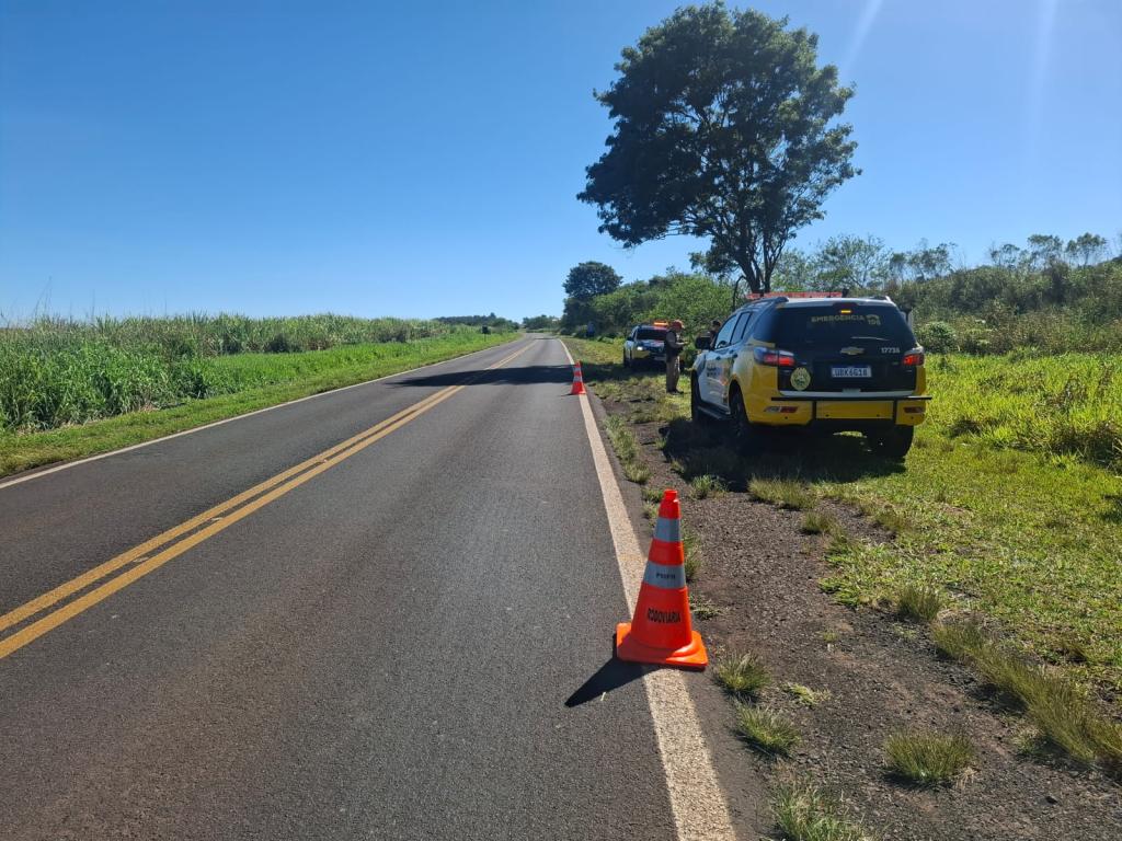 Santa Fé: motociclista fica ferida após atropelar cachorro na PR-317