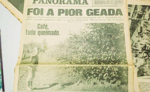 Formação da cidade se deu a partir da cultura cafeeira - capa