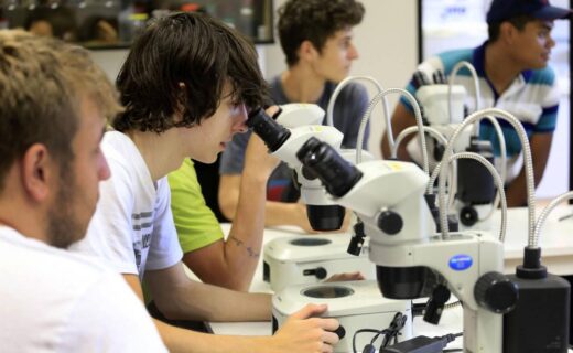 Universidades estaduais do Paraná estão entre as melhores do país - capa