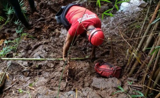 Equipes já estão em campo no 13º dia de buscas em Brumadinho - capa