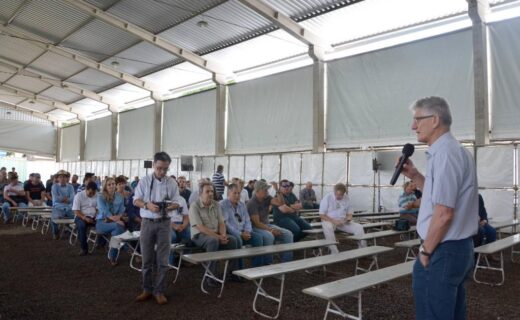 Informação e conhecimento fazem a diferença no agronegócio - capa