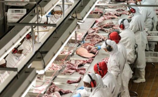 Crescimento nas exportações de carne suína é indicativo de qualidade - capa