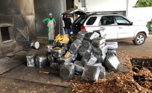 Polícia Civil incinera quase 1 tonelada  de drogas que estavam escondidas em caminhão com carga de maçãs - capa
