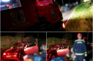 Colisão contra animal na Rodovia Júlio Zacharias termina em morte de motorista em Nova Esperança - capa