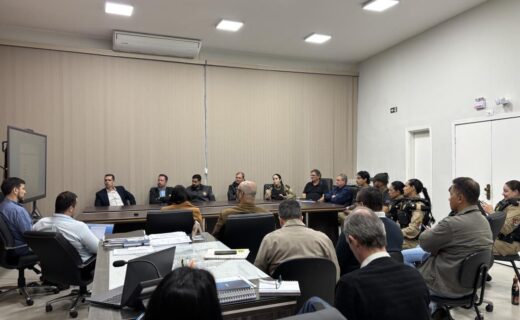 Conselho de Segurança debate nova delegacia, reforço policial e monitoramento por câmeras - capa