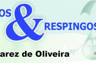 Pingos e respingos - capa