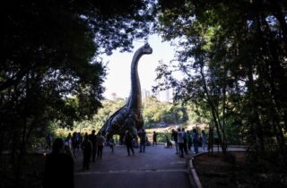 Em dez dias, exposição ‘Jurássico Condor’ leva 87,8 mil visitantes para o Parque do Ingá - capa