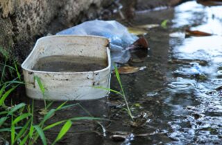 Após dias chuvosos, população deve redobrar atenção para eliminar água parada e prevenir a dengue - capa