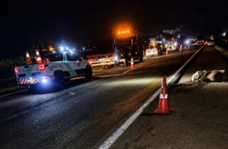 Cavalo solto morre após ser atropelado por dois veículos na BR-376 entre Nova Esperança e Alto Paraná - capa
