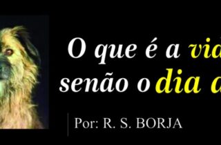 Será que a Copa do Mundo será sempre assim? - capa