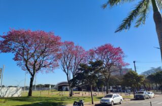 Sol predomina e temperaturas chegam a 27°C nesta sexta-feira na região - capa