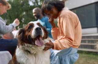 As cinco doenças que mais afetam os cães no frio: Como proteger seu pet das baixas temperaturas neste inverno - capa