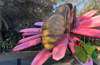 Parque do Ingá recebe a exposição ‘Primavera Encantada: Natureza Gigante’ a partir de 25 de setembro - capa