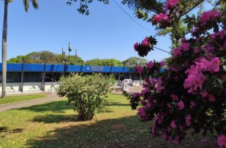 Santa Fé se prepara para uma semana de cultura, civismo e celebração da Independência do Brasil - capa