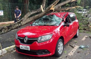 Galho de árvore cai sobre carro no entorno do Parque do Ingá, em Maringá - capa
