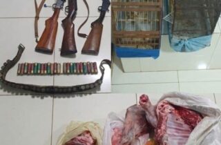 Homem é preso após fiscalização em fazenda encontrar armas, aves e carne de animais silvestres - capa
