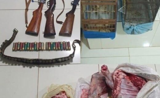 Homem é preso após fiscalização em fazenda encontrar armas, aves e carne de animais silvestres - capa