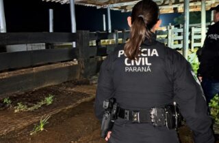 PCPR atualiza balanço de operação contra organização investigada por furto de gado no Noroeste do Paraná - capa