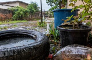 Dengue: período de chuvas exige atenção redobrada dos moradores - capa