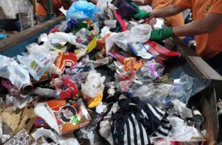 Cooperativa de catadores transforma reciclagem em trabalho, renda e sustentabilidade - capa