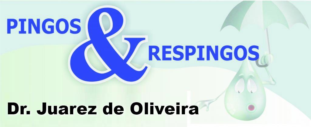 Pingos e respingos - capa
