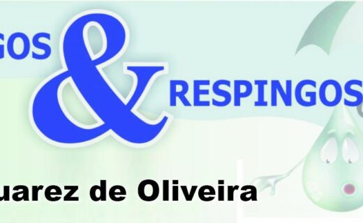 Pingos e Respingos - capa