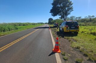 Santa Fé: motociclista fica ferida após atropelar cachorro na PR-317 - capa